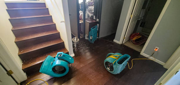 Water damage restoration experts in NM