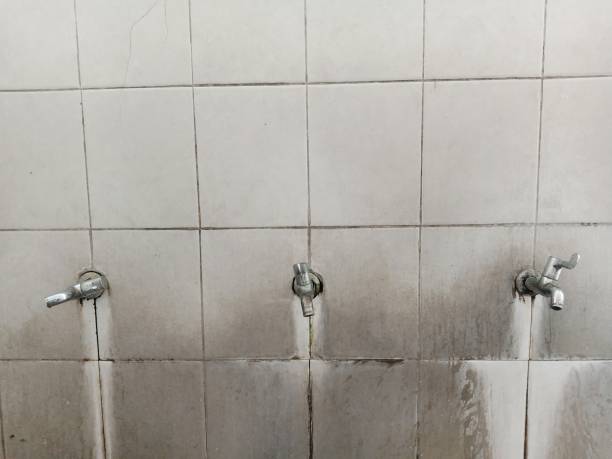Best 24/7 water damage repair  in Chimayo, NM